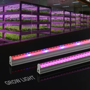 Fabrika doğrudan satış LED T5 bitki yetiştirme lambaları tüp kapalı topraksız sebze bitkileri ışık büyümeye yol açtı