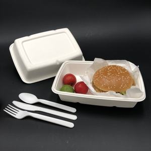 2025 nouvelle tendance 500ml jetable à emporter plateaux d'emballage alimentaire <span class=keywords><strong>plateau</strong></span> de viande de canne à sucre biodégradable pour supermarché - Product Image 3