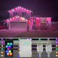 Lumières LED Twinklight Pixel permanentes pour les décorations de fêtes et les expositions, alimentées par 48V, durables pour les installations à long terme