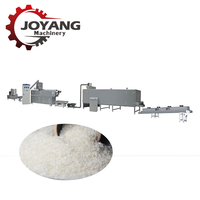 Machine d'extrusion de riz fortifié à double vis de haute qualité, machine de fabrication de riz nutritif, ligne de production