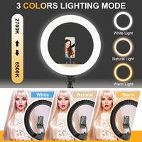 Anneau lumineux LED professionnel 14/18 pouces pour photographie, 60W, intensité réglable, température de couleur ajustable, support de téléphone, trépied, sac de transport