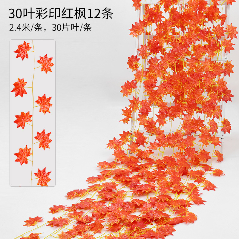 Feuilles d'érable rouge imprimées, 30 feuilles [12 bandes par paquet]