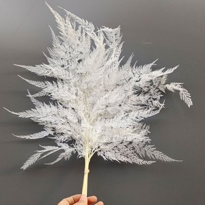 Foglie di Felce Fiocco di Neve Essiccate Eterne, Foglie di Felce Artificiali Lunghe 55cm, Decorazione Duratura per San Valentino - Product Image 5