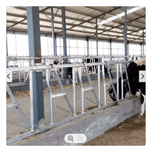 Structure en acier préfabriquée moderne à faible coût mouton chèvre ferme grange maison vache laitière hangar bétail ferme bâtiment - Product Image 2