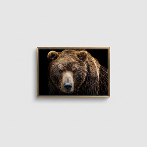 Brown Bear Canvas Wall Art: Printed Animal Print Farmhouse Decor,<b>GOLD</b> <b>FRAMED</b> CANVAS - Product Image 2