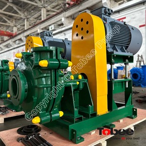 Pompa per Fanghi per la Lavorazione <span class=keywords><strong>di</strong></span> Fertilizzanti Fosfatici - Product Image 5