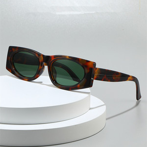 Lunettes de soleil carrées vintage à petite monture avec logo personnalisé 2026, protection UV400, imprimé léopard, pour hommes et femmes - Product Image 2