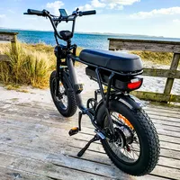 यूरोपीय संघ संयुक्त राज्य अमेरिका गोदाम ebike10ah 12.5ah बैटरी संचालित इलेक्ट्रिक बाइक 48v 750w वसा टायर शहरी इलेक्ट्रिक साइकिल