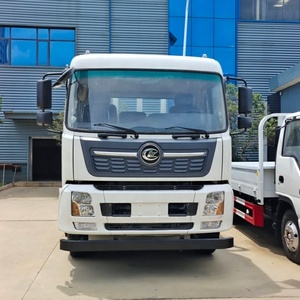 Camión de Carga Diésel ChengLi de 10 Toneladas 4X2, Camioneta de Carga, Camión Ligero, <span class=keywords><strong>Precio</strong></span> - Product Image 3