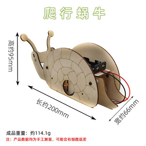 Kit de Ciencia de Caracoles de Madera, Juguete Educativo de Ensamblaje Manual para Niños de 7 a 9 Años, Modelo de Experimento Científico - Product Image 4