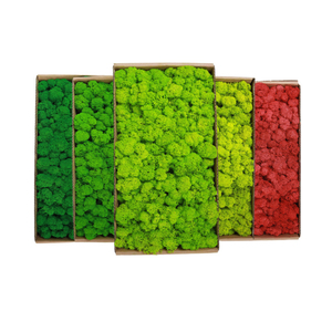 Wholesale Last 5 Years Green Wall Real Natural Stabilized Preserved Decorative <strong>Moss</strong> <strong>Bun</strong> Pillow Cushion Pole <strong>Moss</strong> - Product Image 1