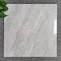 Carreaux de sol 60x60 pour hall d'entrée, véranda, couloir, carrelage de sol 60x60, carrelage en porcelaine émaillée