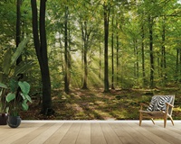Nature personnalisé photo papier peint extra large 3D nature paysage peintures murales paysage jungle pour bureau salle de réception