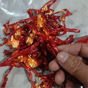 High-capacity industrial continuous chili pepper dryer High Quality chili pepper Drying Equipment dryer for Vegetable - Product Image 3