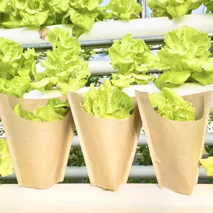 Custom Vertical Farm Using Hydroponic Vegetable And Living Herb Recyclable Kraft Paper Bag Packaging Sleeves