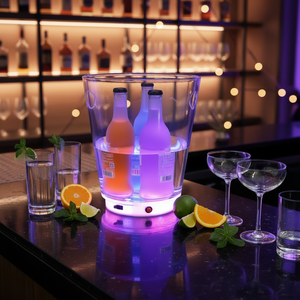 Espositore per secchiello del ghiaccio acrilico a LED ricaricabile per uso domestico o commerciale - Product Image 3