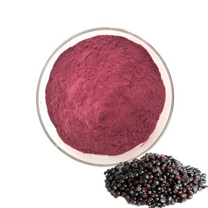 Vente en gros extrait de fruit de personne âgée 20/1 poudre d'extrait de personne âgée - Product Image 6