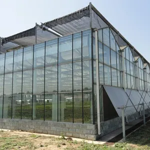 Hot selling Low-cost Multi-span greenhouse Glass external shading system