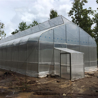 Serre agricole à simple travée avec couverture en film PE, système de ventilation naturelle, petite taille, une seule serre agricole