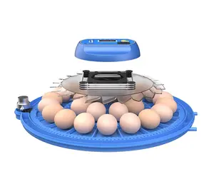 Fowl Mini egg incubator 52 Chicken eggs incubator for Sale