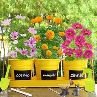 Perlengkapan Menanam Bunga & Melukis Taman, Set Berkebun, Hadiah Terbaik, Kit Taman Peri, Kerajinan DIY, Mainan Edukatif
