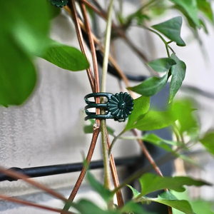 Clips para Plantas Diseñados para Orquídeas, que Proporcionan Soporte para Tallos, Enredaderas y Plantas Trepadoras para Ayudarles a Crecer Verticalmente - Product Image 1