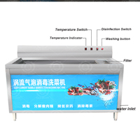 De Qdmech Handige Wasmachine Hoge Capaciteit Fruit En Groente Reinigingsmachine Met Goedkope Prijs