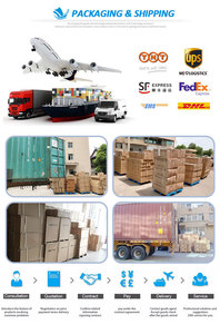 BZYQ-6/YQ-8/YQ-10/YQ-15ถูกกว่านกหวีดไฟฟ้า<span class=keywords><strong>แตร</strong></span><span class=keywords><strong>ลม</strong></span>ทะเล - Product Image 6