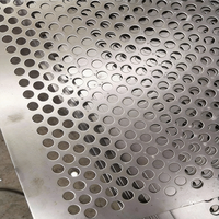 Barrera Acústica de Acero Galvanizado Perforado, Panel de Aislamiento para Carreteras y Ferrocarriles