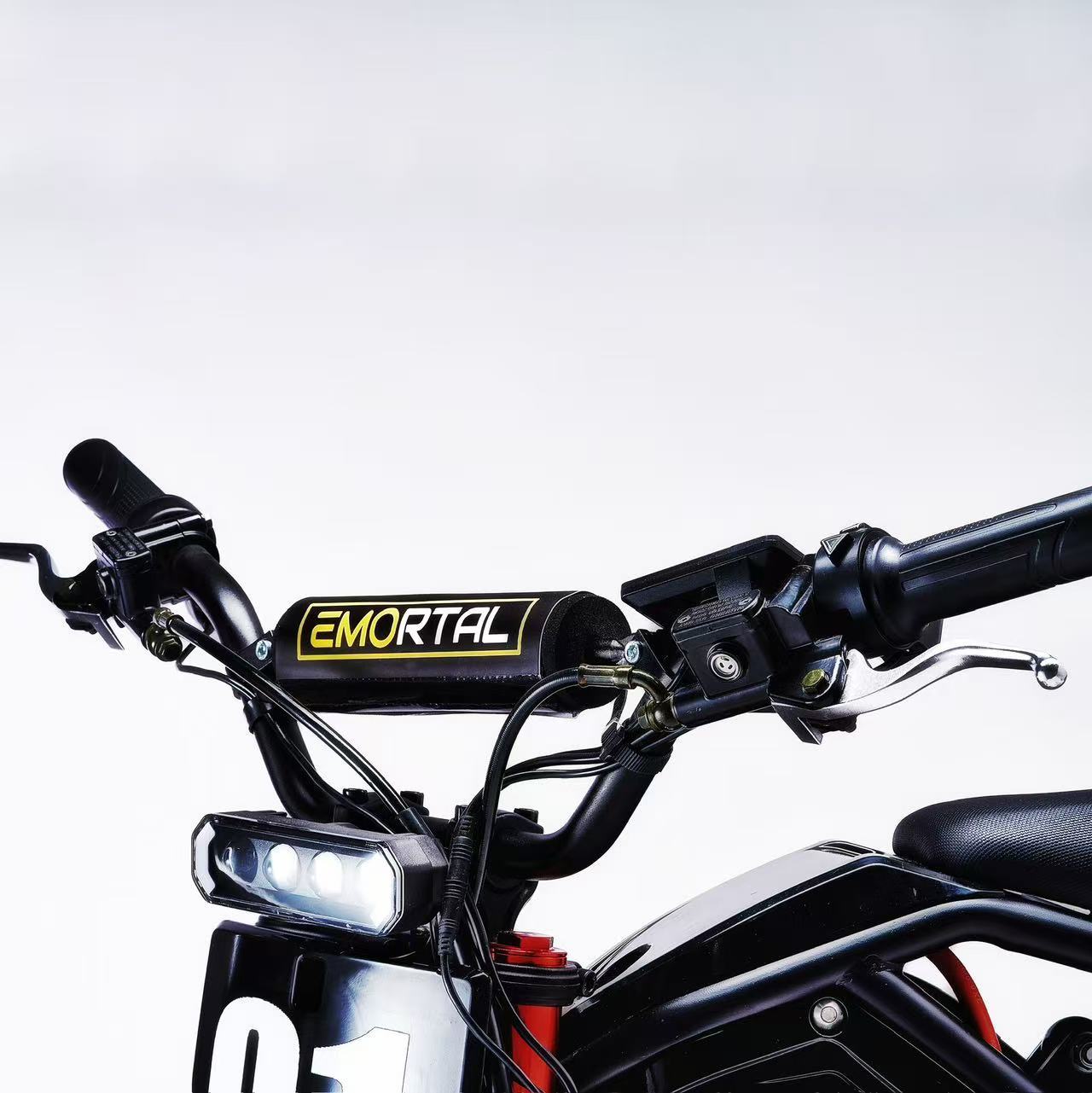 Fuerdi Bikes High Power Electric Bicycles for Adults