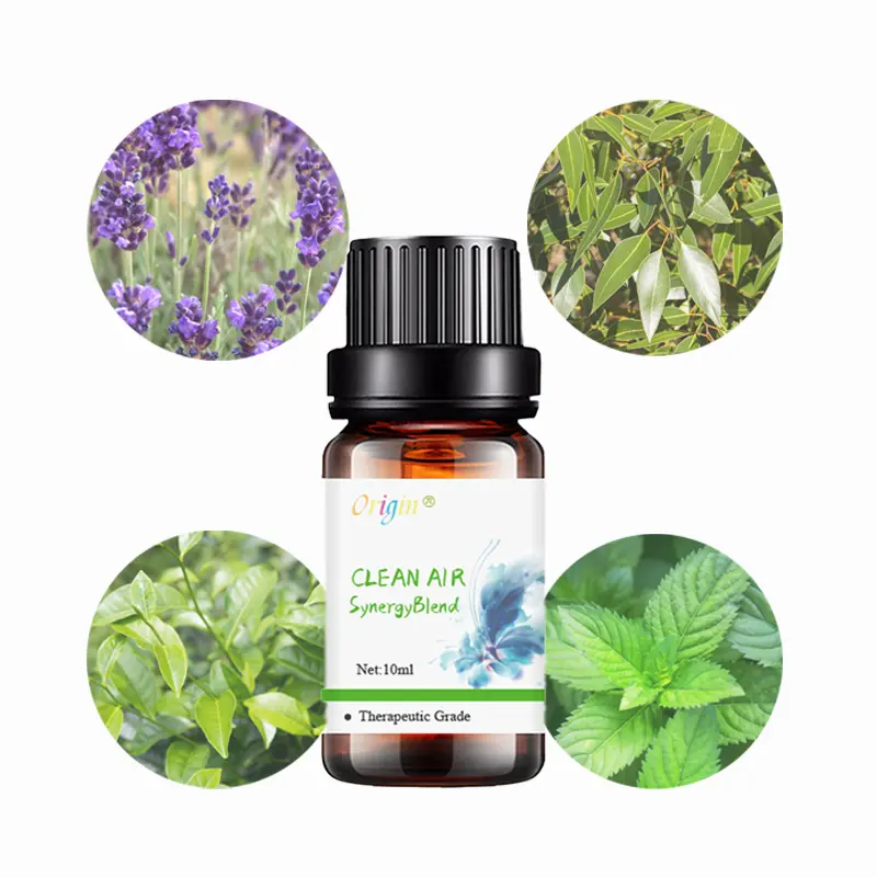 100% Pure Natural Lavender Peppermint Eucalyptus Tea Tree Essential Oil Set 10/10ml Aromatherapy Diffuser Gift Set