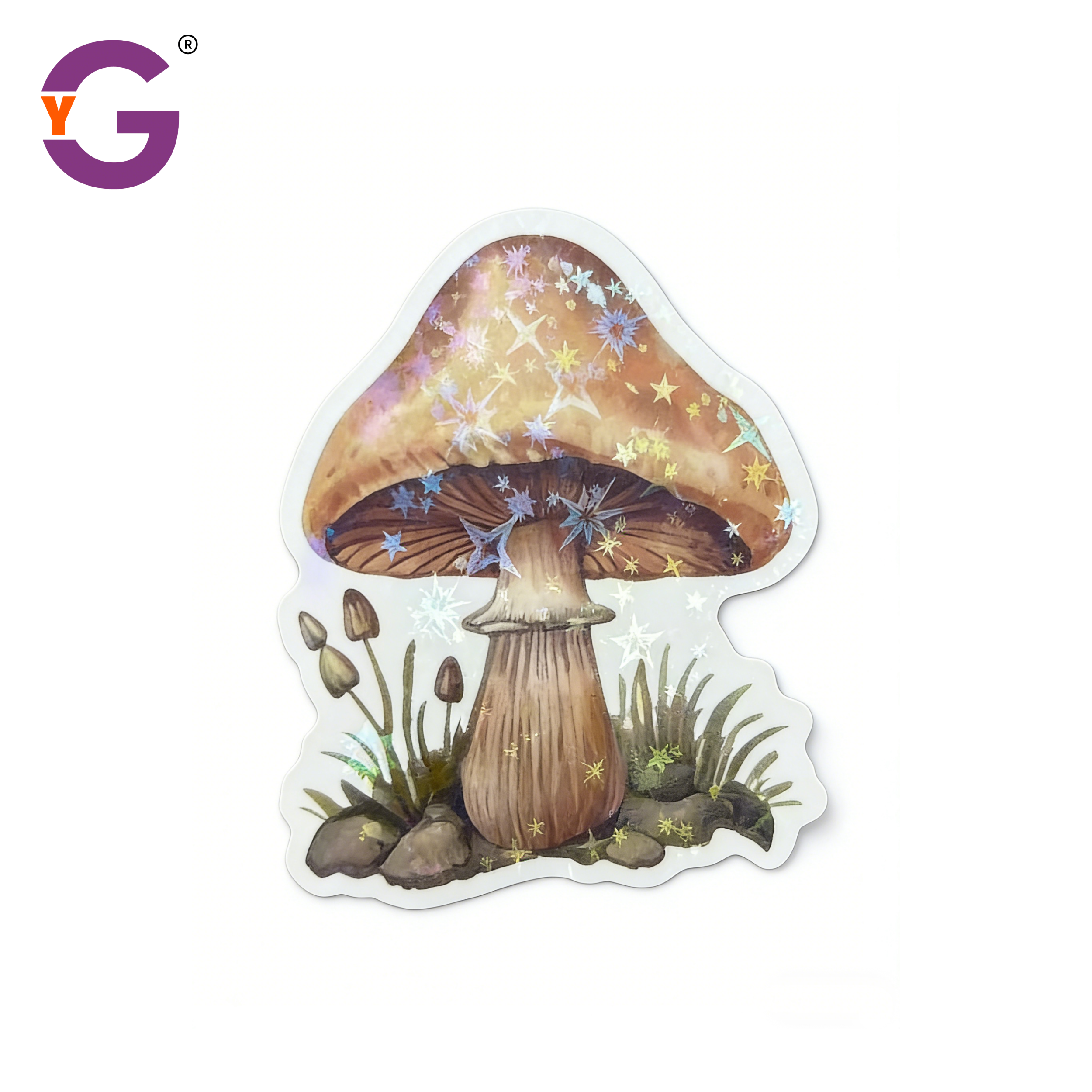 Film holographique étoile