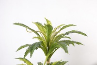 1.3m Artificielle Nid Fougère Plante Petits Faux Arbres Pour Salon Décor À La Maison