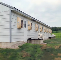 Estructura de Acero Galvanizado Prefabricada para Gallinero, Moderna Carcasa Metálica para Aves de Corral, Construcción de Naves Avícolas de Larga Duración