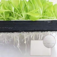 ÉPONGE CUBIQUE POUR HYDROPONIQUE AÉROPONIQUE PLANTE SEED GROW NET POT PORTE-GOBELET