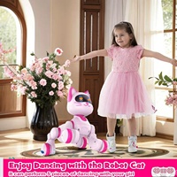 KK nouveau robot électrique interactif pour enfants, musique programmable rechargeable, fréquence 2.4 GHz, câble USB inclus