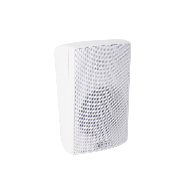 OEM Manufacturer High Quality  Pa Wall Mount Speaker for Indoor Party Wall-Mounted Audio Speaker for Sale