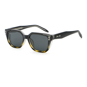 デザイナーカスタムロゴスクエアサングラス女性用クラシックレトロな色合いのサングラス2025サングラス男性PC + CPフレーム - Product Image 5