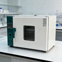Four de séchage électrique à air forcé pour laboratoire industriel, chambre à vide thermique 15L-100L, stérilisation biologique à chaleur sèche