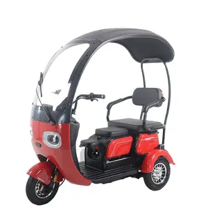 China manufacturer three wheel electric bicycle tricycle LCD Display comfortable for adult