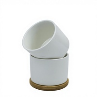 Petit pot à fleurs en porcelaine blanche céramique vierge pour sublimation, idéal pour plantes succulentes, décoration de bureau, pour personnalisation DIY avec photo ou logo.