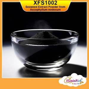 HuminRich XFS1002 Poudre d'extrait d'algues Ascophyllum Nodosum de source végétale biologique pour une croissance accrue des plantes et la santé du sol - Product Image 6
