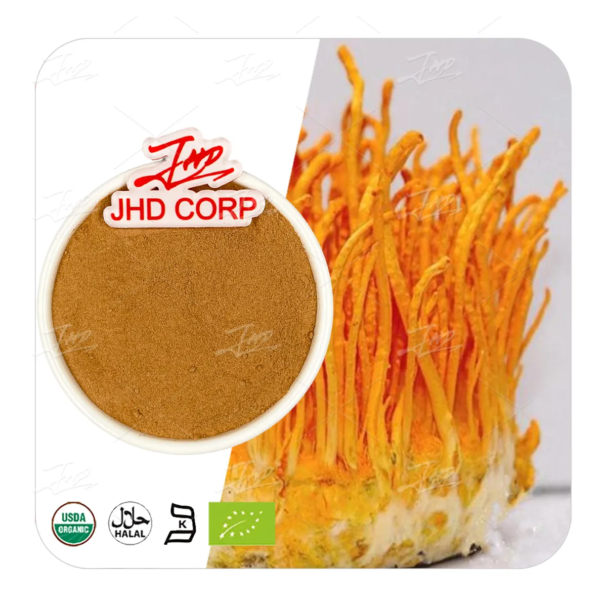 USA/EU Warehouse Bulk Cordyceps Militaris Mushroom Dual Extract Powder with Cordycepin Beta Glucan Polysaccharides