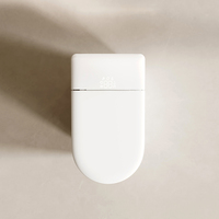 S022 Service OEM/ODM personnalisé, Marquage du logo, Bidet intelligent allongé avec siphon en P, Télécommande, Siège chauffant, Design moderne