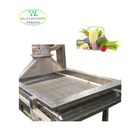 Déshydrateur à air soufflé motorisé à commande PLC automatique pour légumes, fabriqué en Chine