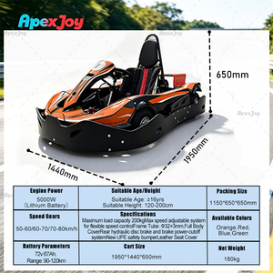 Kart <span class=keywords><strong>électrique</strong></span> ApexJoy RACE Elite - 5000W pour adultes, 80 km/h, autonomie <span class=keywords><strong>de</strong></span> 120 km, batterie LiFePO4, modèle très vendu, prix d'usine en gros - Product Image 2