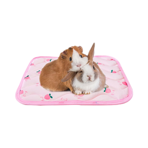 Almohadilla de refrigeración para mascotas pequeñas, alfombrilla transpirable para cama de hielo, manta para gatos, conejos, hámsteres, cobayas, calefacción - Product Image 4