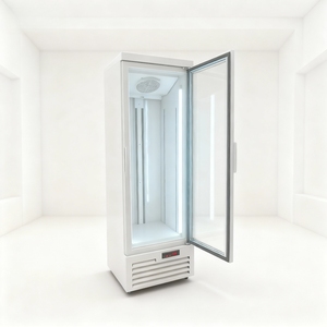 <span class=keywords><strong>Réfrigérateur</strong></span> à boissons, <span class=keywords><strong>réfrigérateur</strong></span> à boissons énergisantes, <span class=keywords><strong>réfrigérateur</strong></span> vertical, refroidisseur de boissons, <span class=keywords><strong>réfrigérateur</strong></span> pour supermarché - Product Image 6