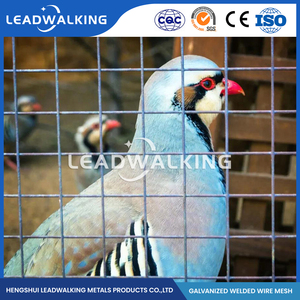 Peck kháng Hàn Net gà Coop hàng rào PVC-tráng để làm sạch dễ dàng - Product Image 6