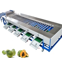 Automatische Aardappel Sorteermachine Oranje Tomaat Avocado 'S Banaan Bosbessen Cherry Tomaat Sorteermachine Tomaat Grader